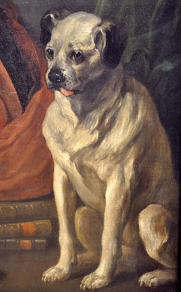 William Hogarth Pug Sweden oil painting art